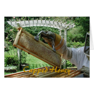 Mit einer Kappe bedeckter Honig