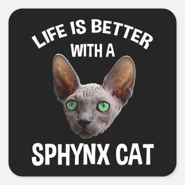 Mit einer Sphynxkatze ist das Leben besser Quadratischer Aufkleber (Vorderseite)