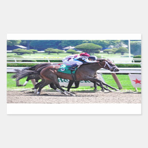 Mit Federn versehen durch den indischen Rechteckiger Aufkleber