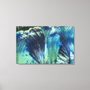 Mit Federn versehen Leinwanddruck