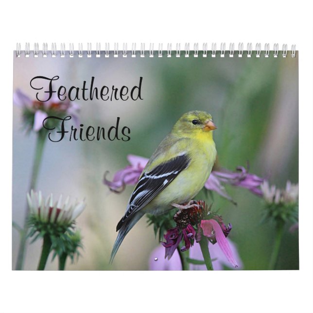 Mit Federn versehene Freunde - wilde Vögel Kalender (Titelbild)