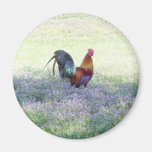 Mit Federn versehener Stolz-Magnet Magnet