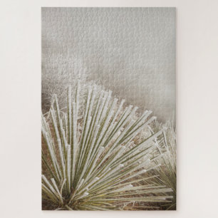 Mit Frost bedeckte Yucca im Winter