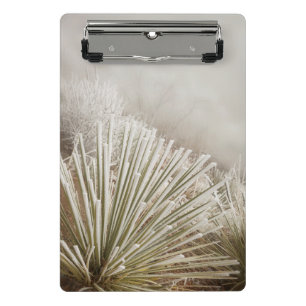 Mit Frost bedeckte Yucca im Winter Mini Klemmbrett