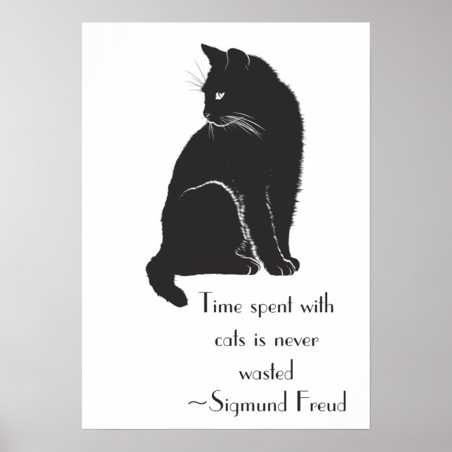 Mit Katzen verbrauchte Zeit ist nie verschwendet k Poster (Vorne)