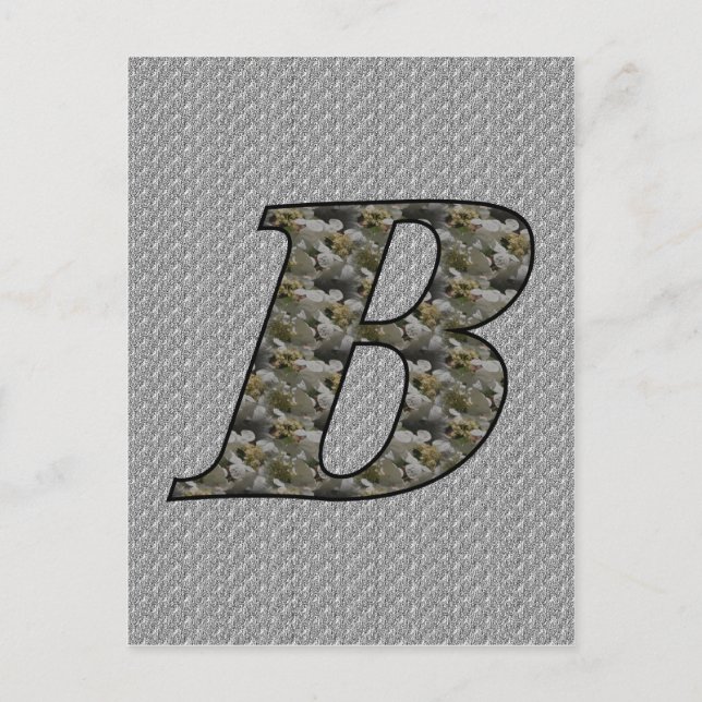 Mit Monogramm Initial B Hydrangea florale Postkart Postkarte (Vorderseite)