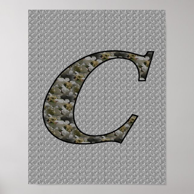 Mit Monogramm Initial-C-Hydrangea-Blumenposter Poster (Vorne)