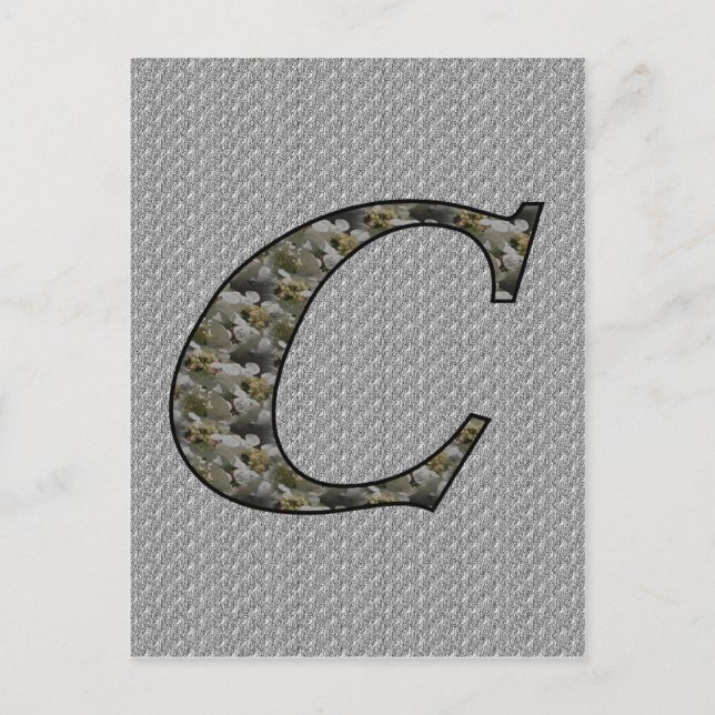 Mit Monogramm Initial C Hydrangea florale Postkart Postkarte (Vorderseite)