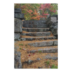 Mit Tannennadeln bedeckte Stufen, White Mountain Fotodruck