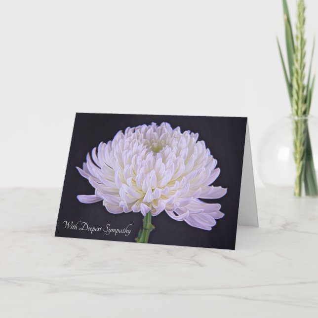 Mit tiefstem Beileid Weißer Chrysanthemum Karte (Vorderseite)