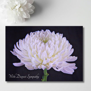 Mit tiefstem Mitgefühl weiße Chrysantheme Karte