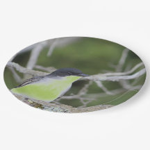 Mit wenig Vogel in Grüntönen