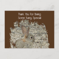 Mitarbeiterbewertung Funny Tan Bunny Pun Business