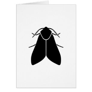 Mite