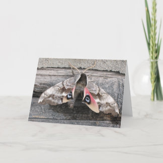 Mite, carte vierge de note par la marque Easton