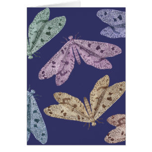 Mites de nuit en vol d'Encylopedia de Diderot