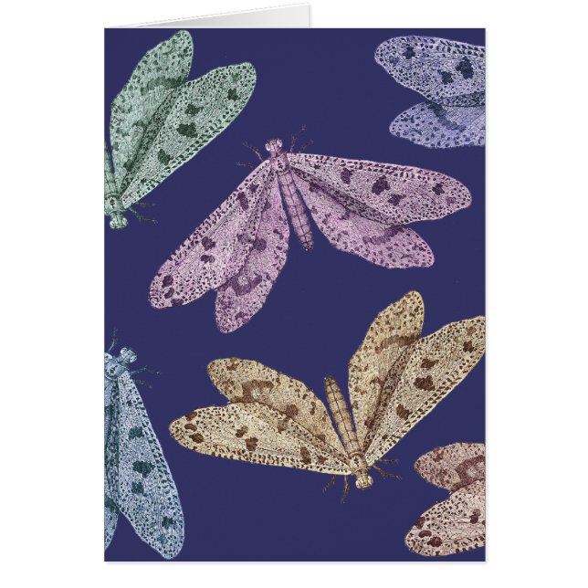 Mites de nuit en vol d'Encylopedia de Diderot (Devant)