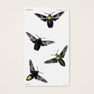 Mites victoriennes
