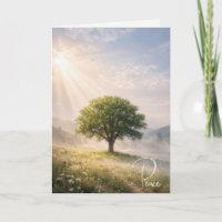 Mitgefühl Einsamer Baum mit Sonnenstrahlen