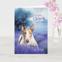 Mitgefühl für Bull Terrier Hund Serene Lavender