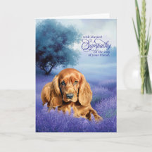 Mitgefühl für Cocker Spaniel Hund Lavendel