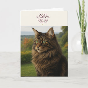 Mitgefühl Katzenkarte   Maine Coon Ich denke an Di Feiertagskarte