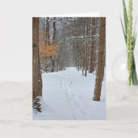 Mitgefühl Schneeige Fußspuren in einem Winterwald