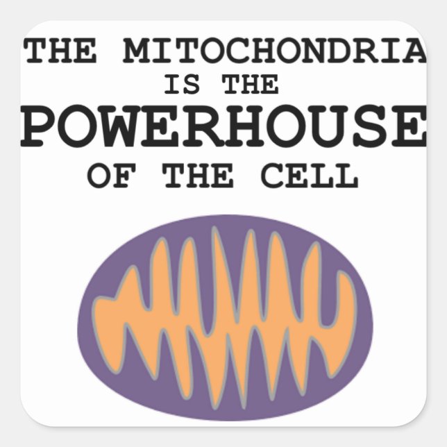 Mitochondria est la Powerhouse - Sticker (Devant)