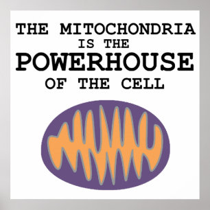 Mitochondria ist das Powerhouse - Poster
