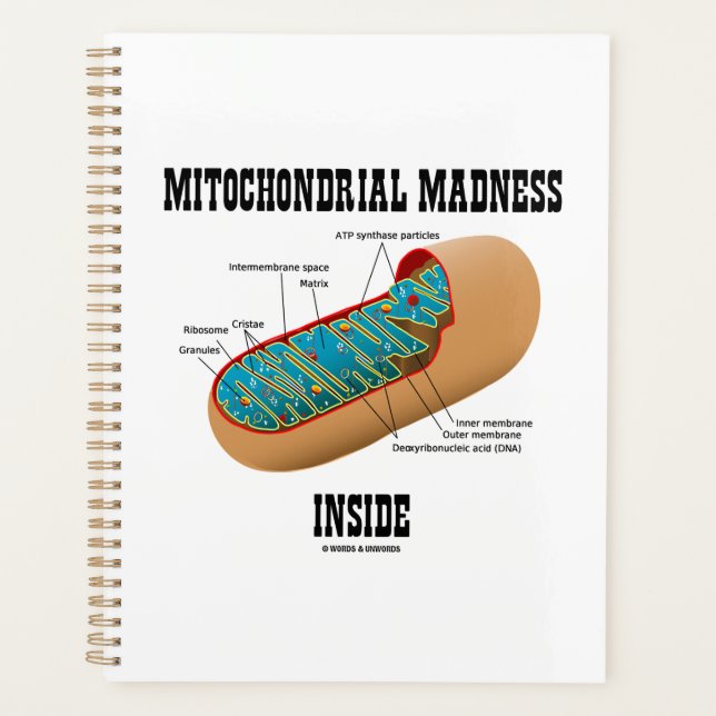 Mitochondrialer Wahnsinn innerhalb der Mitochondri Planer (Vorderseite)