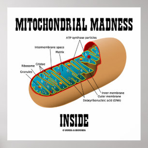 Mitochondrialer Wahnsinn innerhalb der Mitochondri Poster