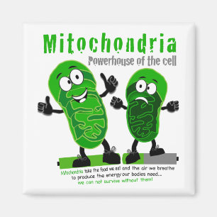 Mitochondrien-Elektrizitätskraftwerk der Zelle Magnet