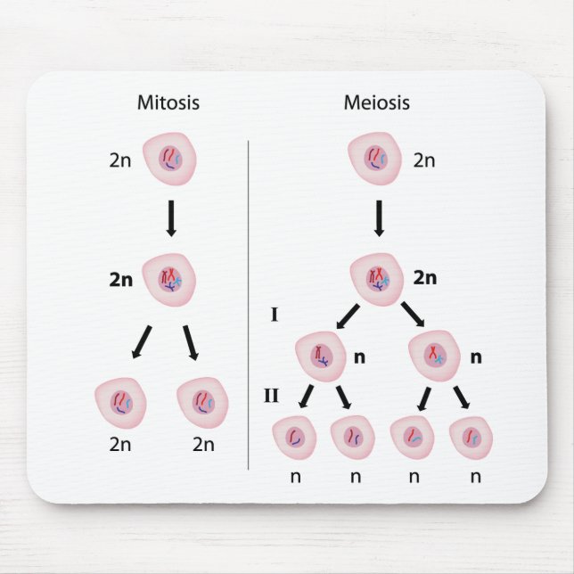 Mitose gegen Verkleinerung mousepad (Vorne)