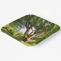 Mitsommernes Licht Småland