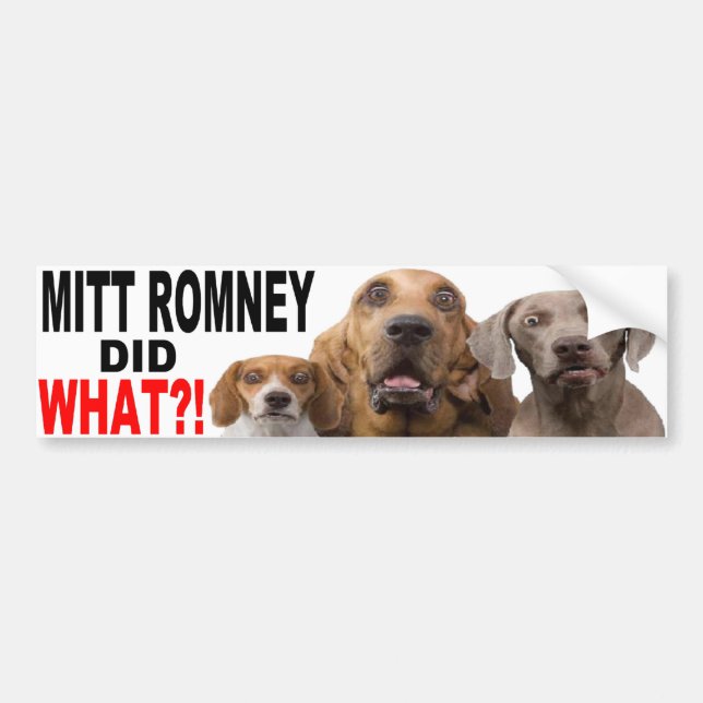 MITT ROMNEY TAT, WAS?! Hund auf Dach AUTOAUFKLEBER (Vorne)
