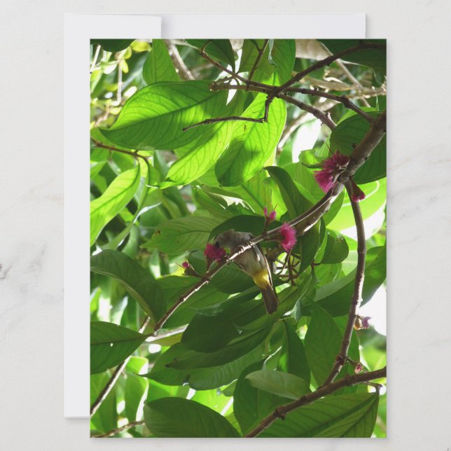 Mittagessen am Baum (Vorderseite)