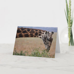 Mittagessen für eine karte