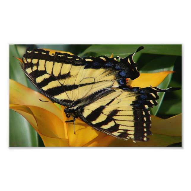 Mittagessen mit Frack Fotodruck (Vorne)