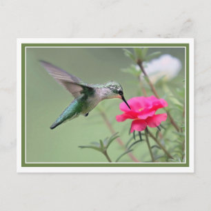 Mittagessen Postkarte