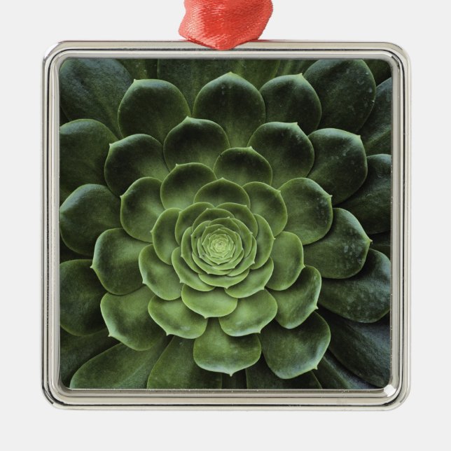 Mitte des Kaktus Ornament Aus Metall (Vorne)