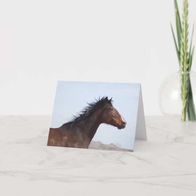 Mitteilungskarte (Vorderseite)