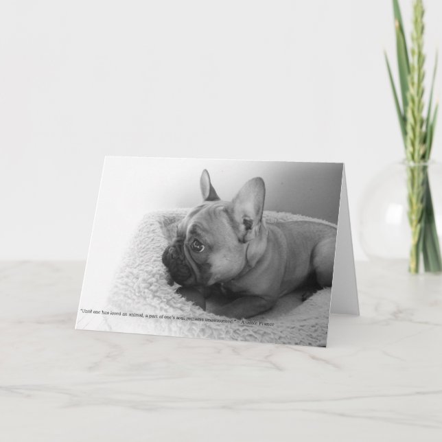 Mitteilungskarte (Vorderseite)