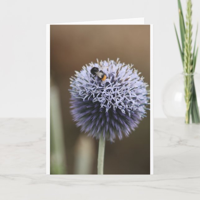 Mitteilungskarte (Vorderseite)