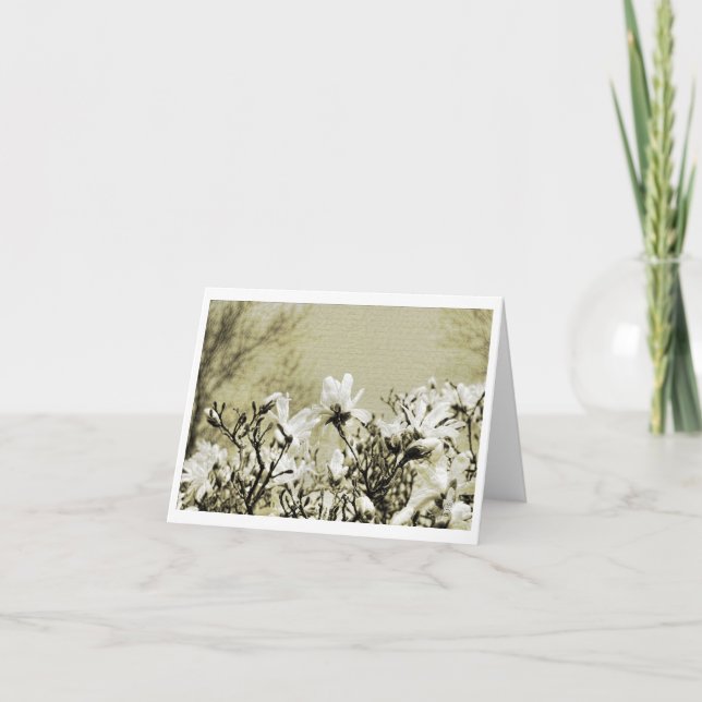 Mitteilungskarte (Vorderseite)