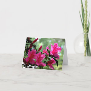 Mitteilungskarten Blume