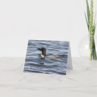 Mitteilungskarten - Loon-Entwurf - Loon-Stolz