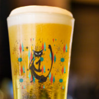 Mittelalter Moderner 50er Coole Katze