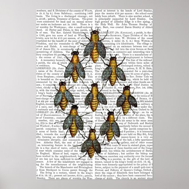 Mittelalterliche Bienen Poster (Vorne)