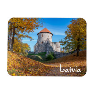 Mittelalterliche Burg umgeben von Wäldern Magnet