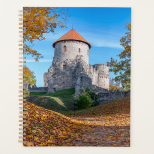 Mittelalterliche Burg umgeben von Wäldern Planer